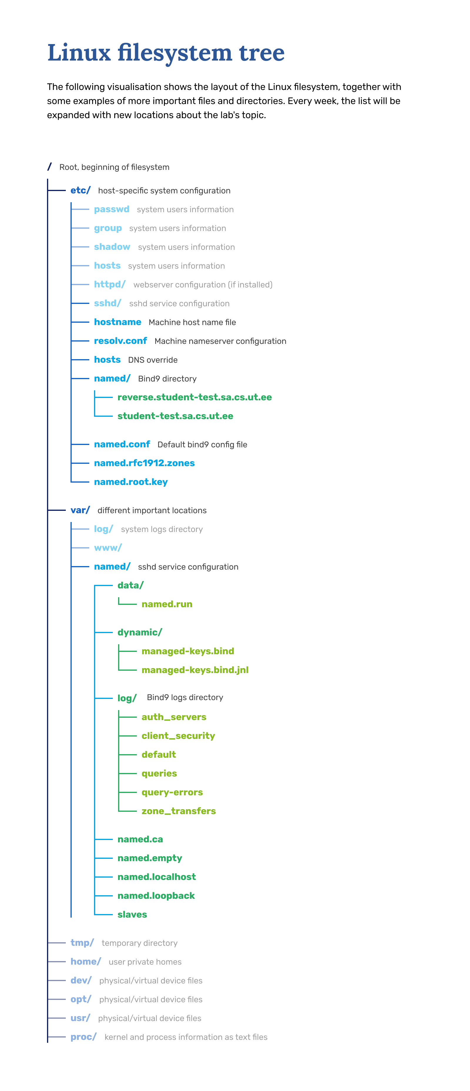 dns_lab_filetree_2021_fixd